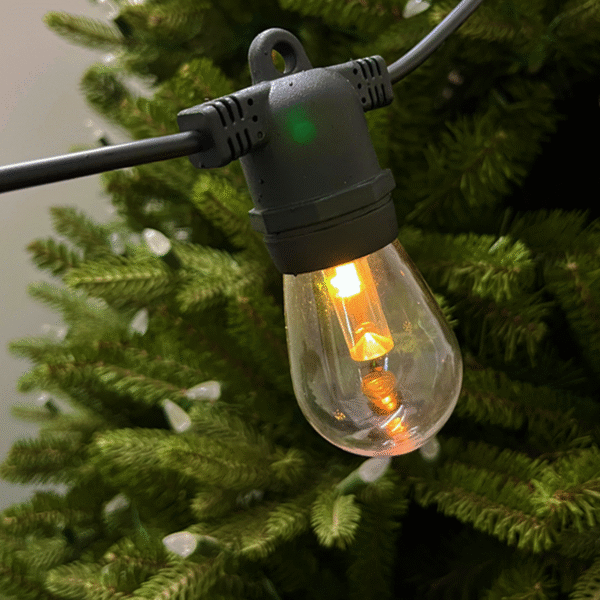 outdoor pendant lighting