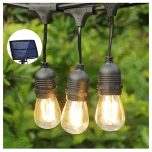 decorative light bulbs