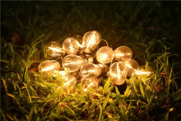 string lights