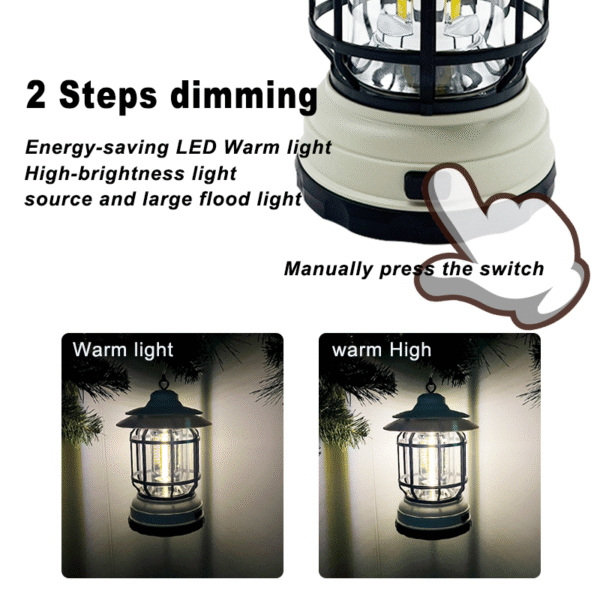 decorative light bulbs,type b light bulb