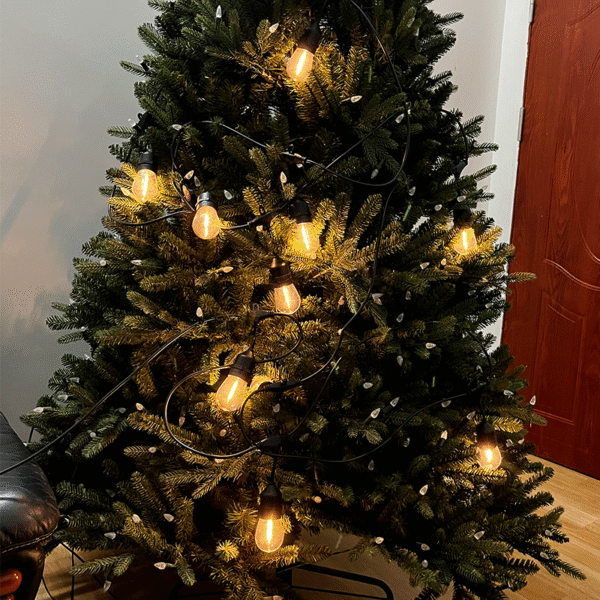 outdoor lighting for trees
