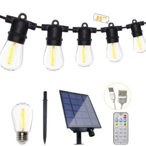 decorative light bulbs