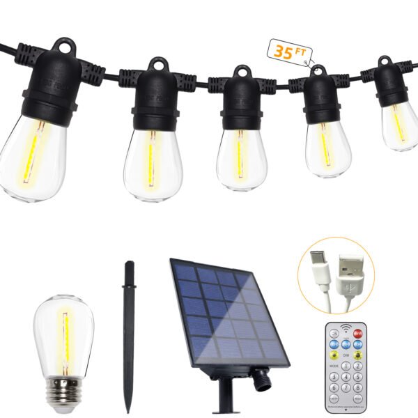 decorative light bulbs