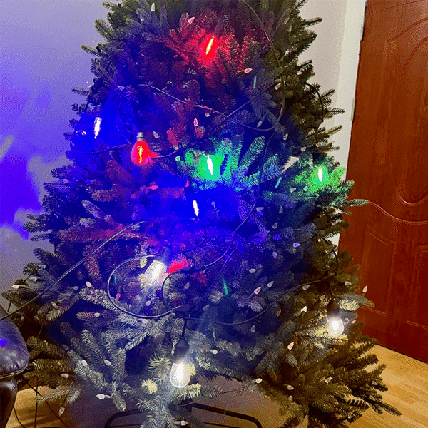 outdoor lighting for trees