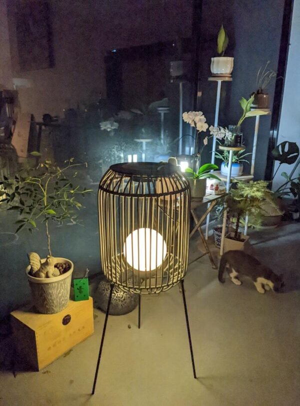 solar powered light for garden