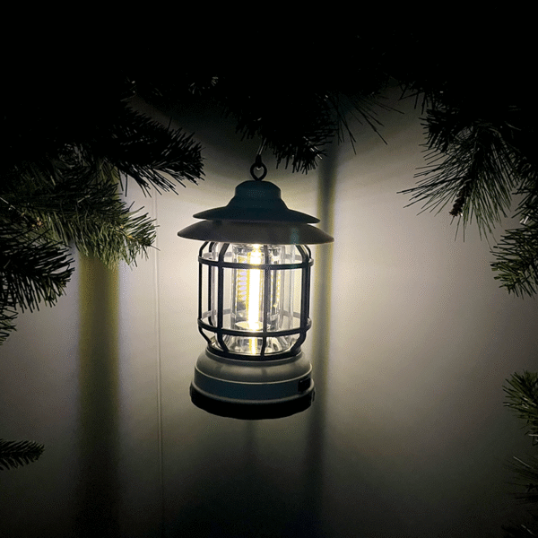 solar powered light for garden