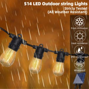 low voltage garden light bulbs