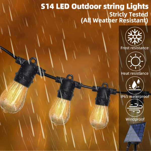 low voltage garden light bulbs