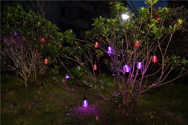 modern garden lights,low voltage garden light bulbs