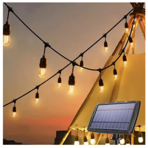 decorative light bulbs