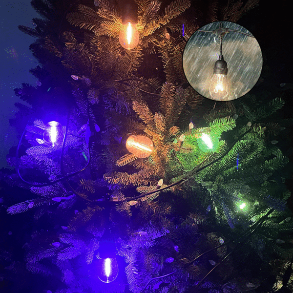 decorative light bulbs