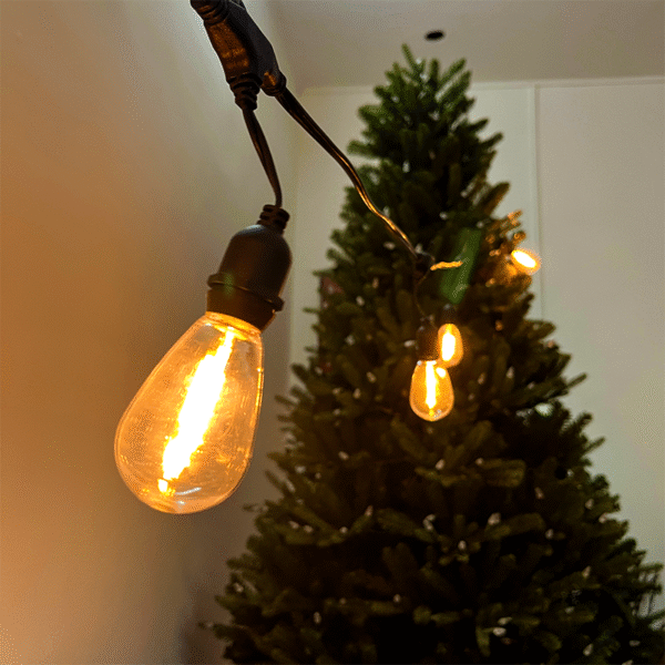 low voltage garden light bulbs