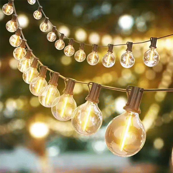 decorative light bulbs