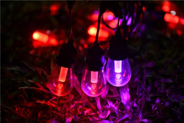 low voltage garden light bulbs