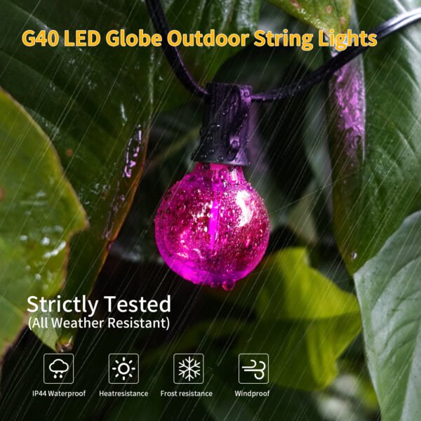 best rated garden solar lights