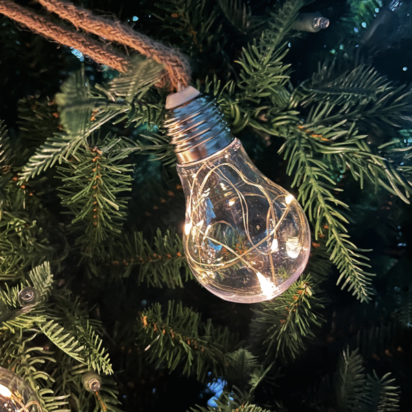 garden lights