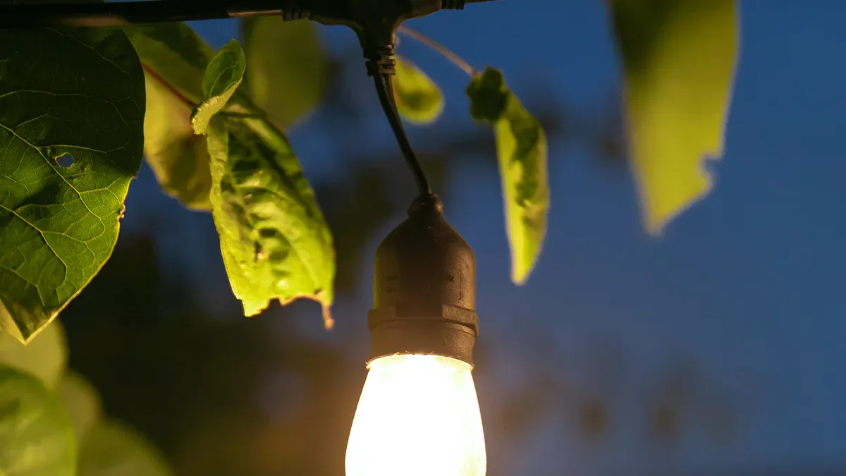 Which garden light bulbs work best for your yard