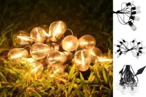 Garden Lights 12 1