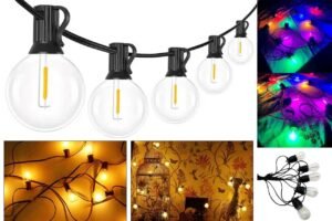 home 2 Garden Lights 4 1