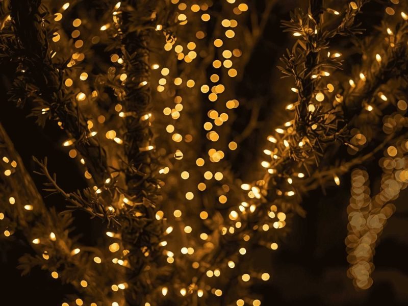Christmas Lights